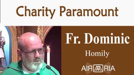 Bend The Rules – Jul 18 – Homily – Fr Dominic Bend The Rules – Jul 18 – Homily – Fr Dominic