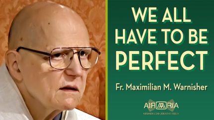One Thing Alone is Necessary – Jul 20 – Homily – Fr Maximilian