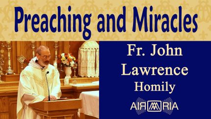 St Lawrence of Brindisi – Jul 21 – Homily – Fr John Lawrence