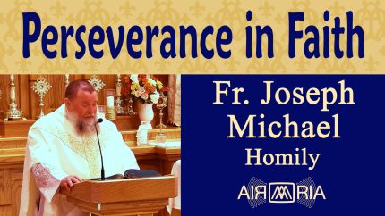 St. Bridget’s Fruitful Perseverance – Jul 23 – Homily – Fr Joseph Michael St. Bridget’s Fruitful Perseverance – Jul 23 – Homily – Fr Joseph Michael