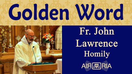 St. Peter Chrysologus: Defender of Faith – Jul 30 – Homily – Fr John Lawrence