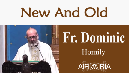 A Healthy Spiritual Life – Jul 31 – Homily – Fr Dominic