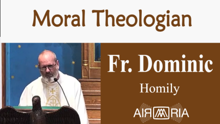 St Alphonsus Liguori – Aug 01 – Homily – Fr Dominic St Alphonsus Liguori – Aug 01 – Homily – Fr Dominic