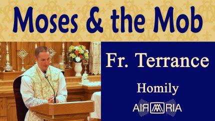 Don’t Mess with the Chosen Ones – Aug 04 – Homily – Fr Terrance