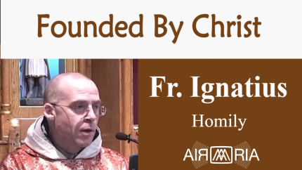 Goal Of Evangelists – Aug 07 – Homily – Fr Ignatius