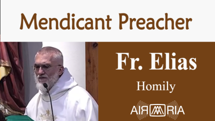 Kindred Spirits – Aug 08 – Homily – Fr Elias