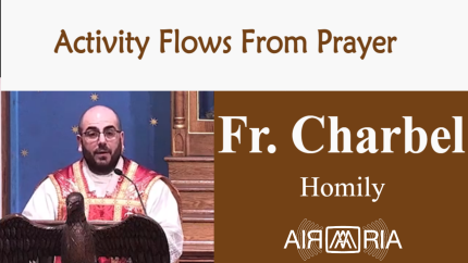 Proved His Love – Aug 14 – Homily – Fr Charbel