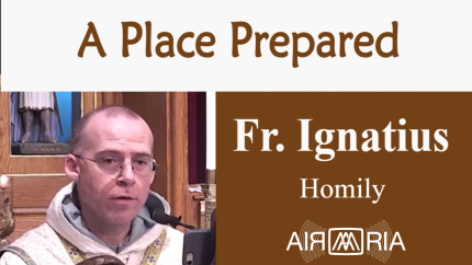 True Ark Of The Covenant – Aug 15 – Homily – Fr Ignatius