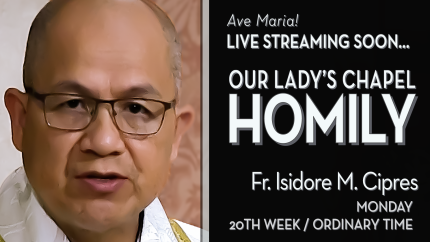 Monday of the Twentieth Week in Ordinary Time – Aug 18 – Homily – Fr Isidore