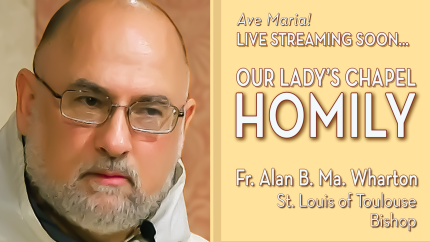 St. Louis of Toulouse, Bishop – Aug 19 – Gospel & Homily – Fr Alan