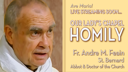Saint Bernard, Abbot & Doctor of the Church – Aug 20 – Gospel & Homily – Fr Andre Saint Bernard, Abbot & Doctor of the Church – Aug 20 – Gospel & Homily – Fr Andre