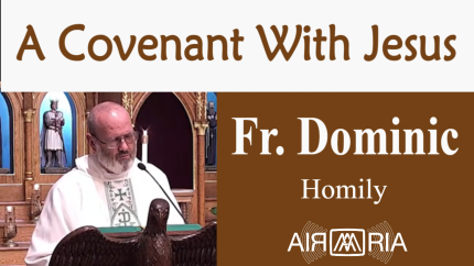 A Wedding Feast – Aug 21 – Homily – Fr Dominic