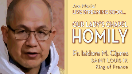 Saint Louis IX, King of France – Aug 25 – Gospel & Homily – Fr Isidore