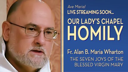 The Seven Joys of the Blessed Virgin Mary – Aug 26 – Gospel & Homily – Fr Alan