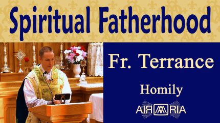 Guiding Children to Maturity in Christ – Aug 27 – Homily – Fr Terrance