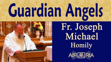Salvation and Guardian Angels – Sep 01 – Homily – Fr Joseph Michael Salvation and Guardian Angels – Sep 01 – Homily – Fr Joseph Michael