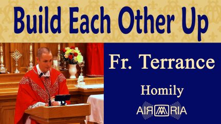 Holy Spirit Guides Us to Support Others – Sep 02 – Homily – Fr Terrance Holy Spirit Guides Us to Support Others – Sep 02 – Homily – Fr Terrance