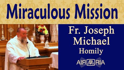 Miraculous Mission of Christ and St. Gregory – Sep 03 – Homily – Fr Joseph Michael Miraculous Mission of Christ and St. Gregory – Sep 03 – Homily – Fr Joseph Michael
