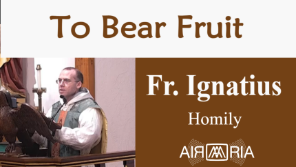 Know God’s Will – Sep 04 – Homily – Fr Ignatius