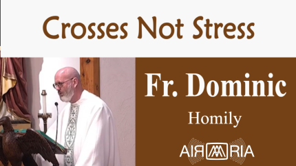 Jesus Formed His Apostles – Sep 05 – Homily – Fr Dominic
