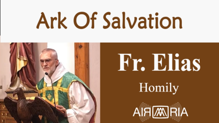 God’s Counsels – Sep 07 – Homily – Fr Elias God’s Counsels – Sep 07 – Homily – Fr Elias