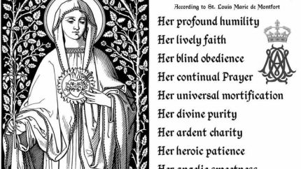 Just Some of the Virtues of Our Lady