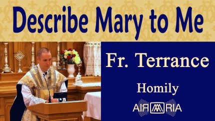 A Birthday Reflection on Our Mother – Sep 08 – Homily – Fr Terrance