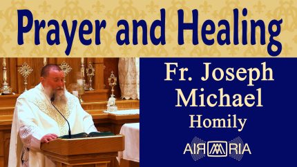 Importance of Prayer in Following Christ – Sep 09 – Homily – Fr Joseph Michael