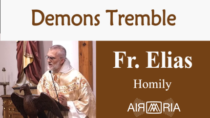 Name Of Mary – Sep 12 – Homily – Fr Elias