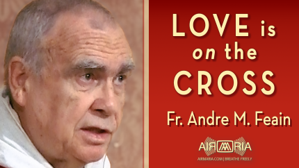 Die to Self: Embrace the Cross for Salvation – Sep 14 – Homily – Fr Andre