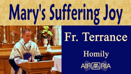 Our Lady of Sorrows: A Feast of Suffering- Sep 15 – Homily – Fr Terrance