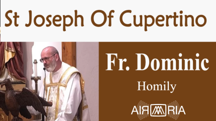 A Flying Saint – Sep 18 – Homily – Fr Dominic