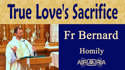 Understanding True Love Today Through Christ’s Sacrifice – Sep 27 – Homily – Fr Bernard