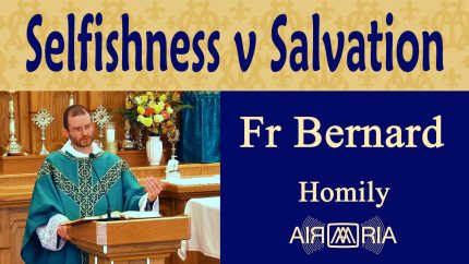 Imitating Christ and Mary’s Virtues – Sep 28 – Homily – Fr Bernard