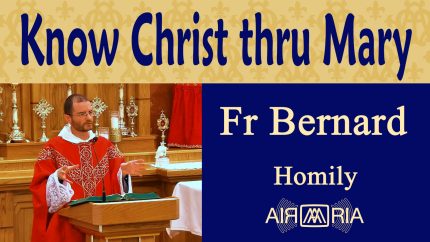 Understanding Mary’s Immaculate Identity – Sep 26 – Homily – Fr Bernard