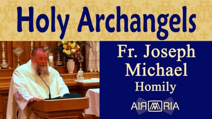 Three Archangels and Their Roles – Sep 29 – Homily – Fr Joseph Michael