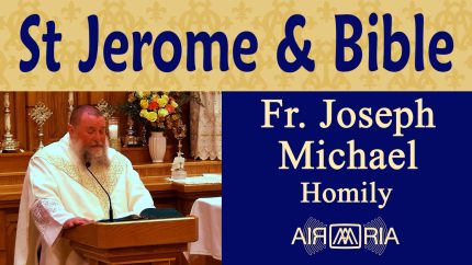 Jesus on Mercy & St Jerome- Sep 30 – Homily – Fr Joseph Michael