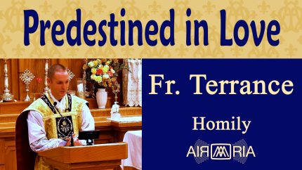 St Therese, Predestination and Love – Oct 01 – Homily – Fr Terrance