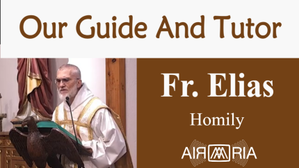 Guardian Angel – Oct 02 – Homily – Fr Elias