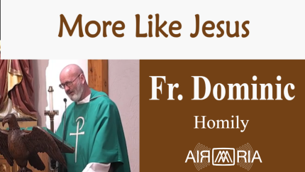 Our Lord Preaches – Oct 03 – Homily – Fr Dominic