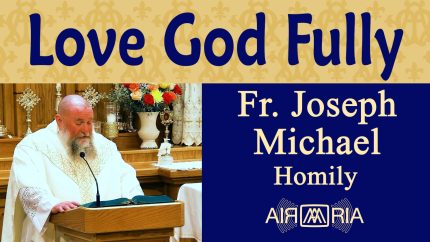 St. Bruno, Hermit Founder – Oct 06 – Homily – Fr Joseph Michael
