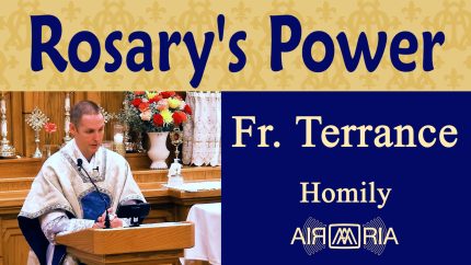 Walking Through Christ’s Life with Mary – Oct 07 – Homily – Fr Terrance