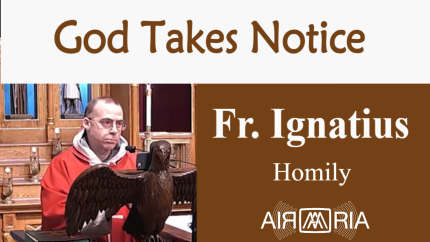 Just Behavior – Oct 09 – Homily – Fr Ignatius Just Behavior – Oct 09 – Homily – Fr Ignatius