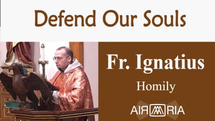 Devil Does Not Give Up – Oct 10 – Homily – Fr Ignatius Devil Does Not Give Up – Oct 10 – Homily – Fr Ignatius