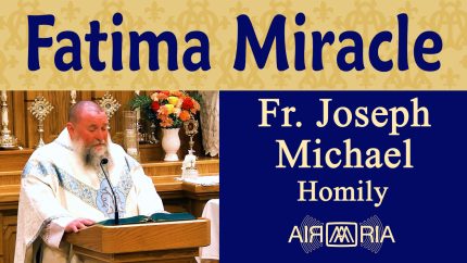 Miracle of the Sun at Fatima – Oct 13 – Homily – Fr Joseph Michael Miracle of the Sun at Fatima – Oct 13 – Homily – Fr Joseph Michael