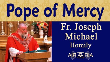 St. Callistus and Christian Mercy – Oct 14 – Homily – Fr Joseph Michael