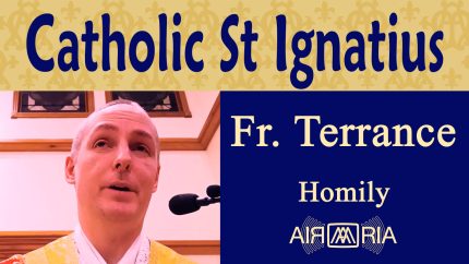 Early Catholic Teachings of St Ignatius of Antioch – Oct 17 – Homily – Fr Terrance