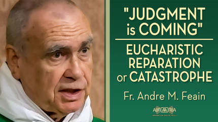 “A Greater War Than Any World War” — Why We Must Fight Abortion with Eucharistic Adoration – Oct 19 – Homily – Fr Andre “A Greater War Than Any World War” — Why We Must Fight Abortion with Eucharistic Adoration – Oct 19 – Homily – Fr Andre