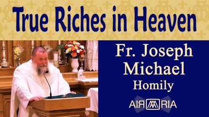 Life of Bl Contardo Ferrini, Pious Scholar – Oct 20 – Homily – Fr Joseph Michael