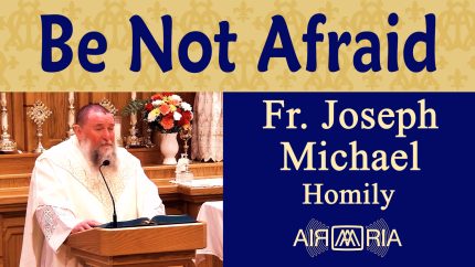 Vigilance & John Paul II’s Heroic Witness – Oct 22 – Homily – Fr Joseph Michael